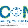 ICON Fridge Magnet